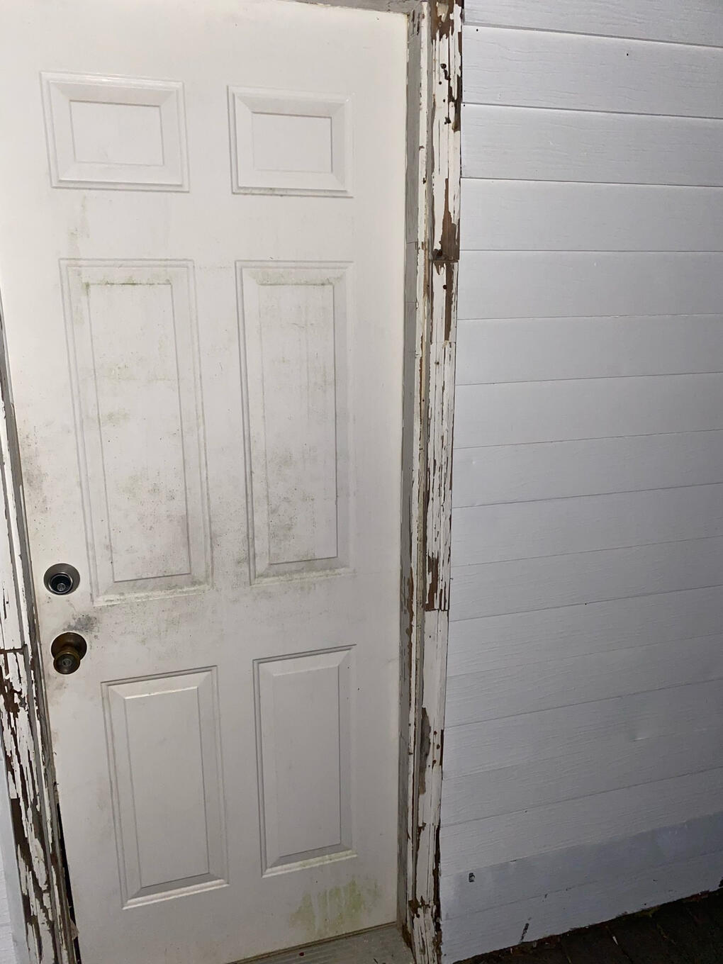 Before - back door, West End Before: old 6-panel metal back door, West End, Decatur IL